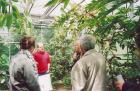 thumbs/03 TropicalGreenhouse, Ruswil.jpg
